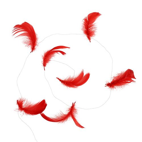 Product Feathers on wire Red 10m