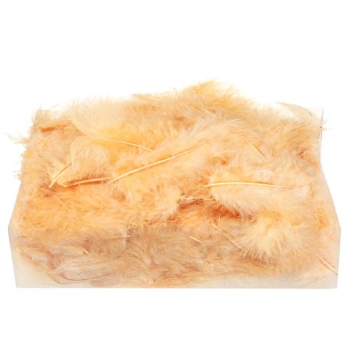 Product Feathers Orange for Crafting Spring Easter 5-10cm 20g