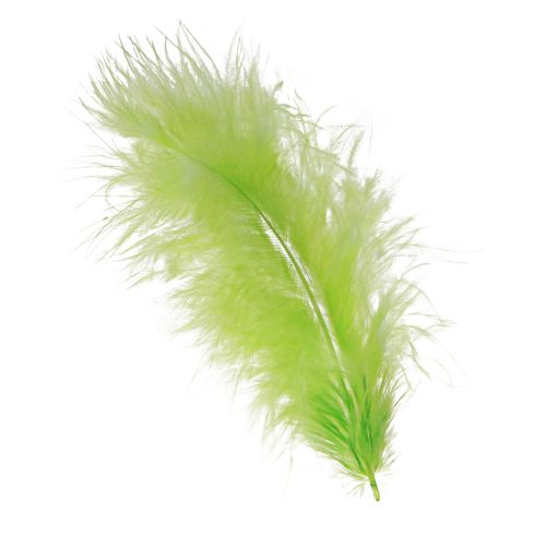 Product Feathers for crafting in light green feather decoration 5–10cm 20g