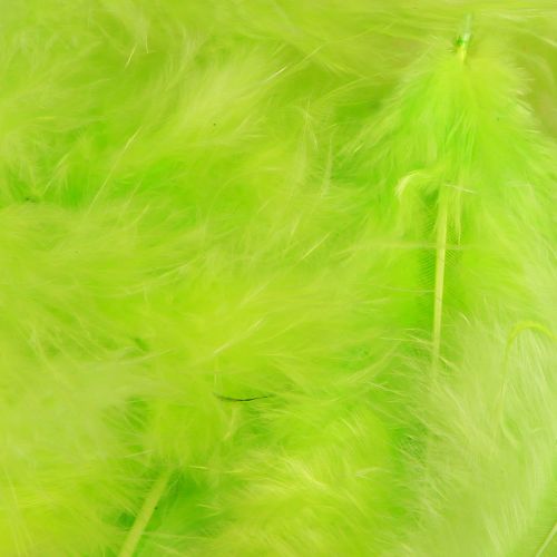 Product Feathers for crafting in light green feather decoration 5–10cm 20g