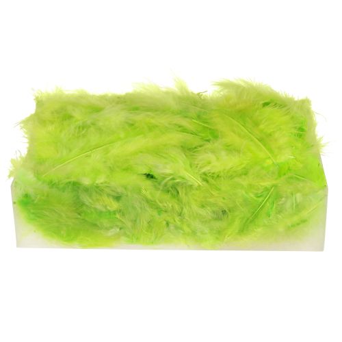 Product Feathers for crafting in light green feather decoration 5–10cm 20g