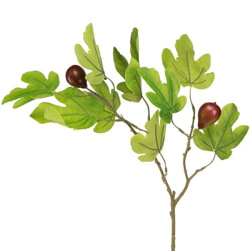 Floristik24 Fig branch, decorative branch, decorative fruit figs decoration 64cm 2pcs