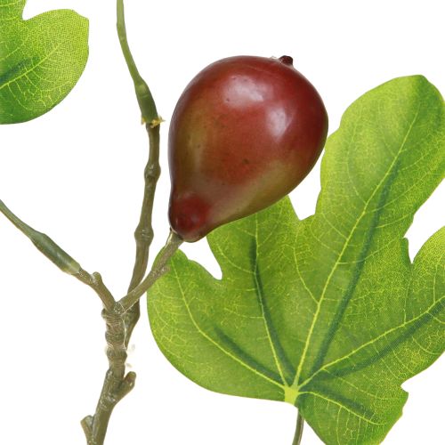 Product Fig branch, decorative branch, decorative fruit figs decoration 64cm 2pcs