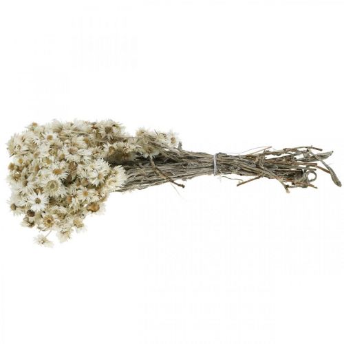 Product Mini Straw Flower White Dried Flower Deco Rock Flower H20cm 15g