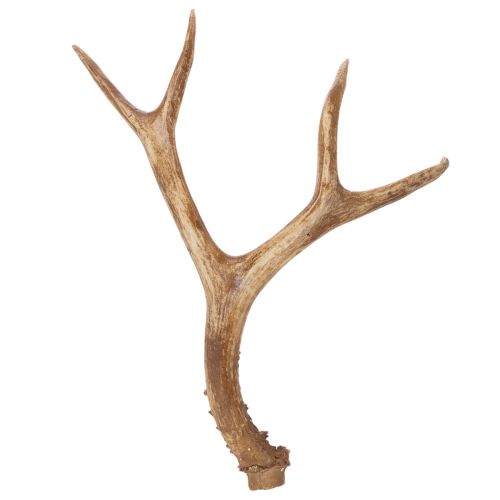 Product Künstliches Antler Ornament, Polyresin, 32cm, Natural Tones, Indoor Use