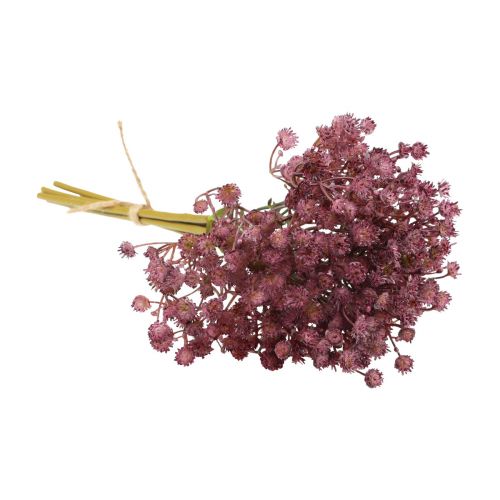 Product Gypsophila Gypsophila artificial purple 35cm 5pcs