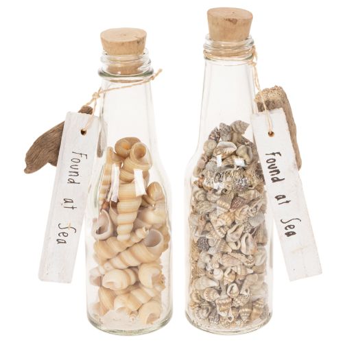Product Set of 2 Glass Bottles with Seashells and Tags – 17cm Decorative Maritime Ornament