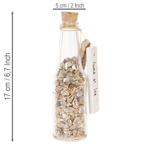 Product Set of 2 Glass Bottles with Seashells and Tags – 17cm Decorative Maritime Ornament
