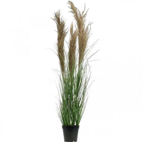 Product Artificial sedge in a pot with dry flowers green, brown 98cm