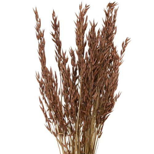 Oat Dry Decoration Dried Grasses Brown L64cm 70-75g 2pcs