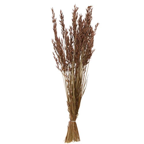 Product Oat Dry Decoration Dried Grasses Brown L64cm 70-75g 2pcs