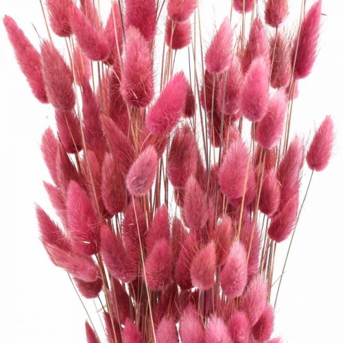 Product Rabbit Tail Grass Lagurus Dried Old Pink 60cm 50g