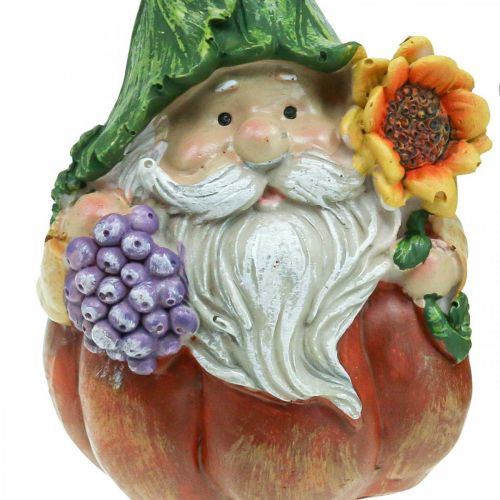 Floristik24 Autumn gnome pumpkin decoration gnome figure assorted H11.5cm 2pcs