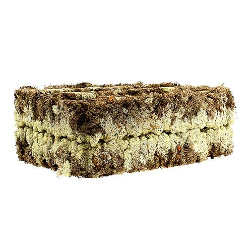 Product Moss Icelandic Moss Finnish Extra Polar 2 Plates