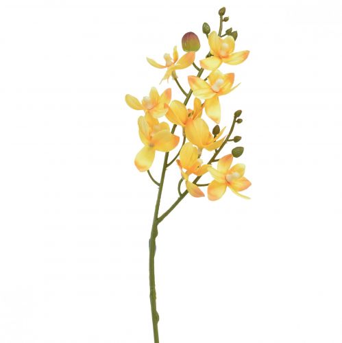 Product Small Orchid Phalaenopsis artificial yellow 30cm