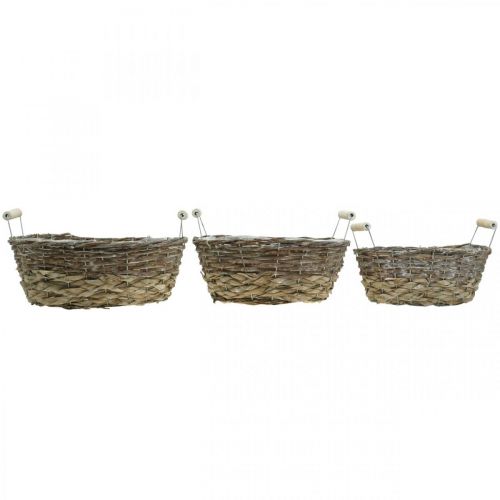 Product Natural basket for planting, basket with handles, planter shabby chic white washed L31/27.5/24cm H12/11.5/10cm set of 3