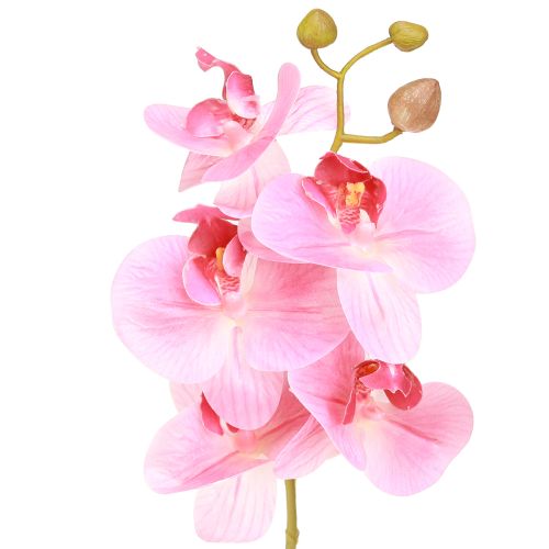 Product Artificial Orchids Pink Artificial Flowers Like Real 56cm 3pcs