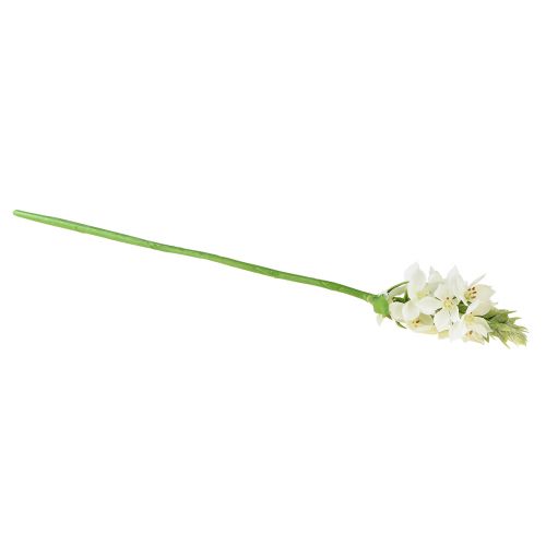 Product Artificial Flower Garden Star of Bethlehem Artificial Flower White 50cm