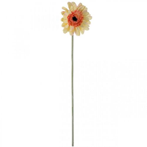 Product Artificial gerbera flower artificial flower apricot Ø11cm L50cm