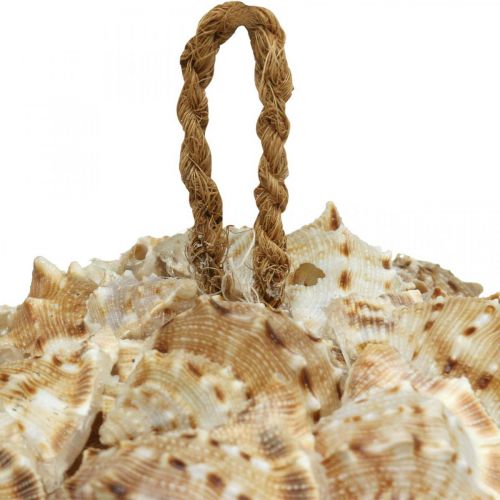 Product Shell decoration ball sea snails Maritime decoration for hanging Ø18cm