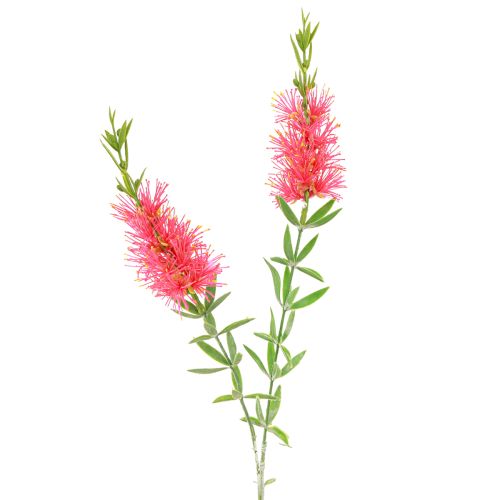 Product Artificial Flowers Red Carmine Bottlebrush 70cm 3pcs