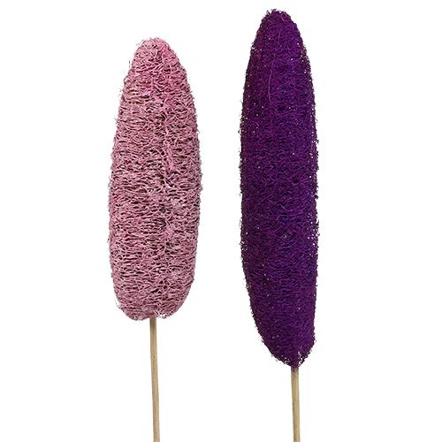 Luffa on a stick large pink, Erika 8cm - 30cm 25 pcs