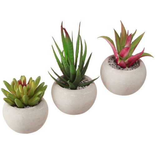 Mini Succulents in Pot Artificial Plants Decoration Ø6.5cm 6pcs