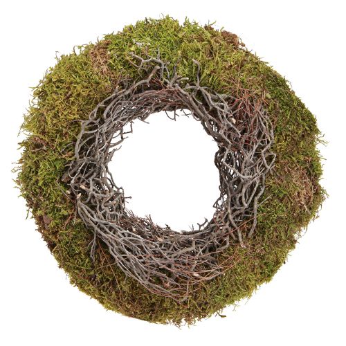 Floristik24 Moss wreath decorative wreath moss green with mouseweed natural Ø30cm