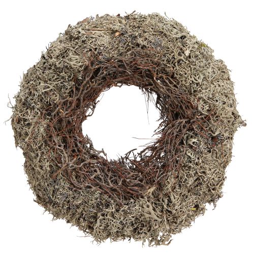 Floristik24 Moss wreath with mouseweed grey moss wreath lichen Ø30cm