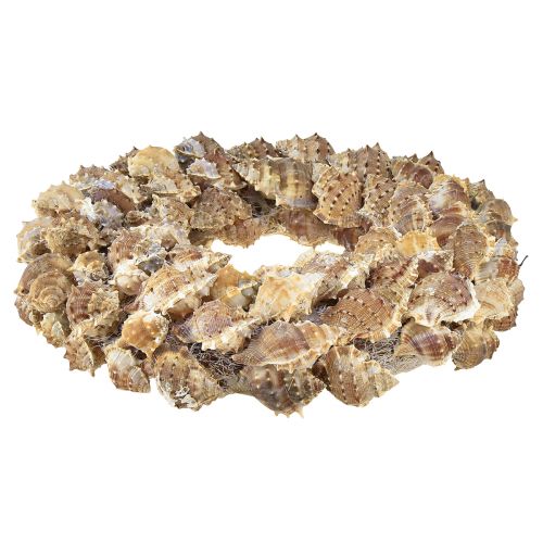 Product Shell wreath wall decoration natural decoration wreath for hanging Ø35cm