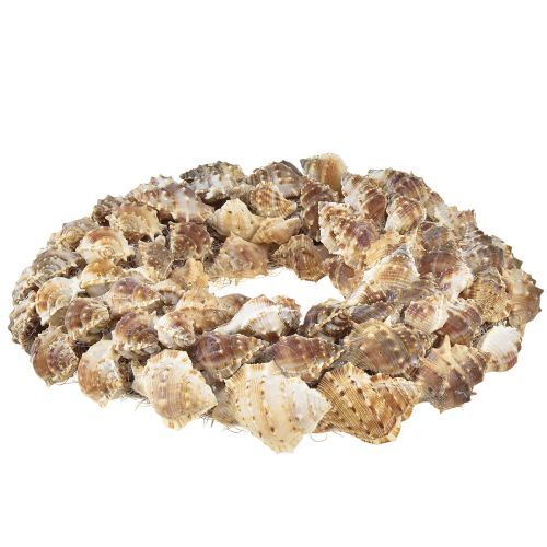 Product Shell wreath for hanging shell decoration brown coconut Ø24cm