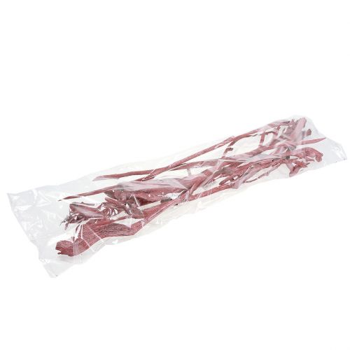 Product Natraj Antler Mix Red, whitewashed 10 pcs