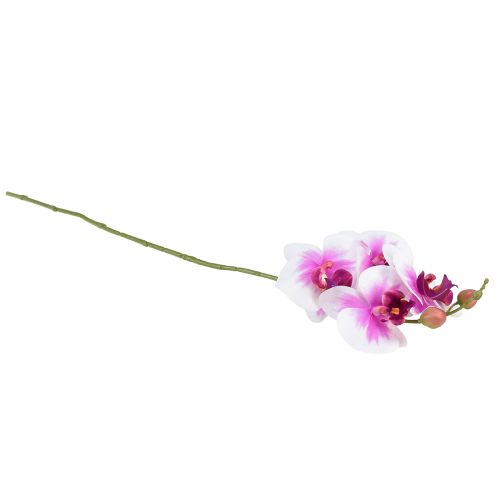 Product Orchid Artificial Phalaenopsis 4 Flowers White Pink 72cm