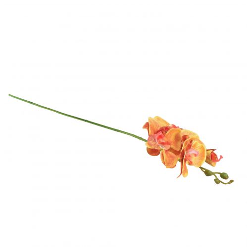 Product Orchid artificial Phalaenopsis flamed red yellow 78cm