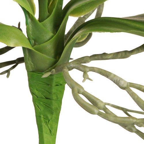 Product Orchid leaves with aerial roots artificial 34x8x18cm