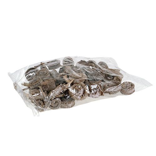 Product Palm Male White Washed 25 pcs