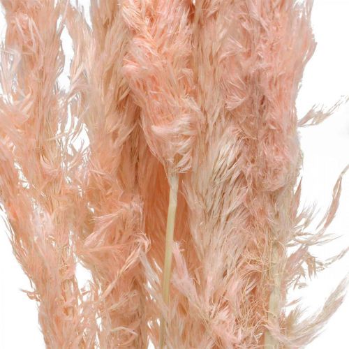 Product Dried Pampas Grass Pink Dried Flowers Natural Decoration 65-75cm 6 pcs