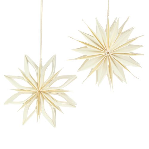 Floristik24 Paper Stars Tree Decoration Stars White Gold Ø15cm 6 Pcs