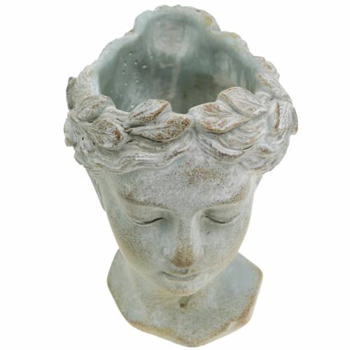 Product Plant head bust grey blue Ø8cm H15cm