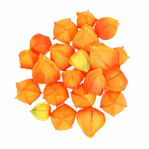 Physalis Orange Assorted 22 pcs Decorative Flower Heads Artificial