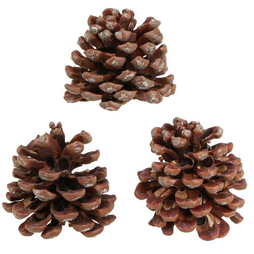 Product Pine cones natural large decorative pine cones 8-9cm 3 pcs