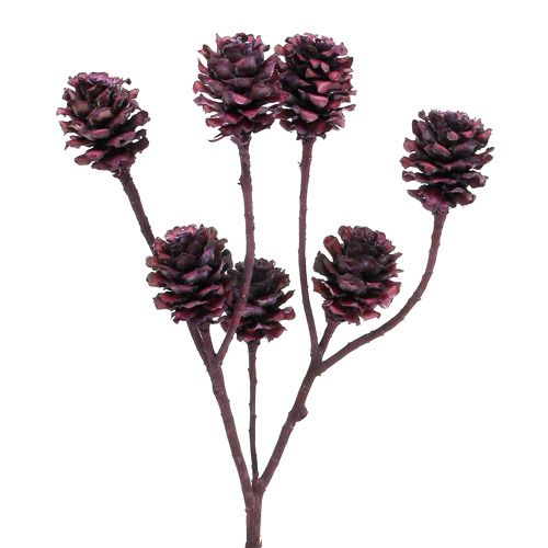 Salignum branches with cones Berry 25pcs