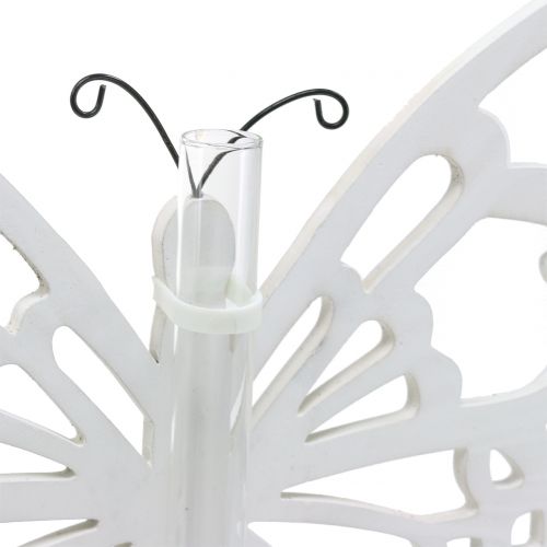 Product Butterfly with test tube for hanging 19x24cm 3pcs