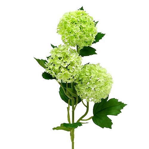 Floristik24 Snowball artificial green 65cm 2pcs