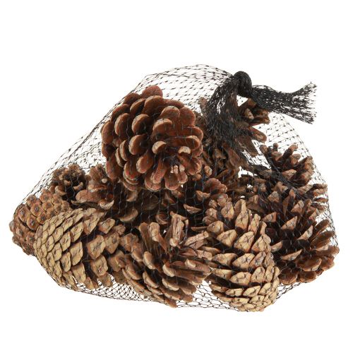 Product Black pine cones natural decorative pine cones 5-8cm 250g