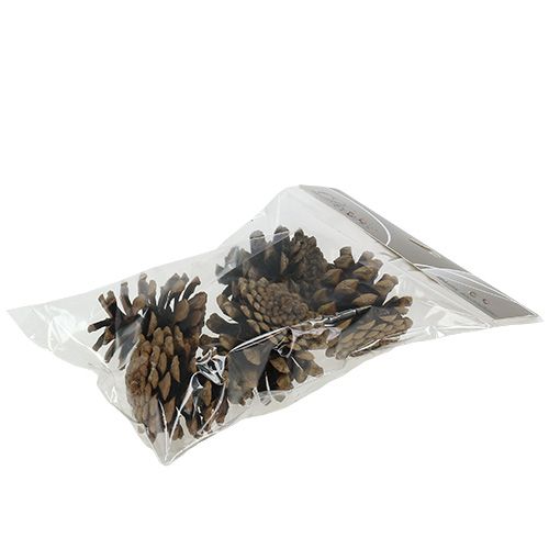 Product Black pine cones 5cm natural 5pcs