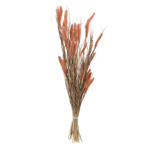 Product Setaria Bristle Millet Dry Decoration Salmon 69cm 70-75g x 2pcs