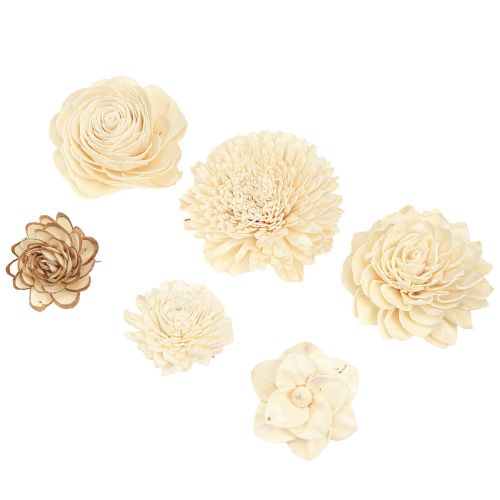 Floristik24 Sola Flowers Wood Wooden Flowers Decoration Mix Cream 6-11cm 12-15 Pcs