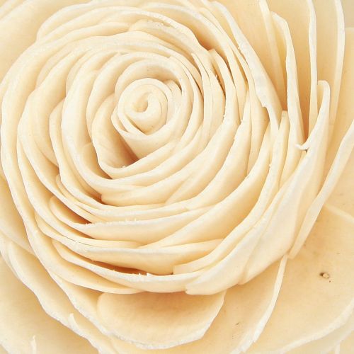 Product Sola Flowers Wood Wooden Flowers Decoration Mix Cream 6-11cm 12-15 Pcs