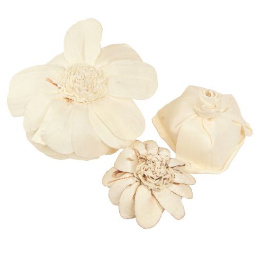 Product Sola Flowers Wood Wooden Flowers Decoration Mix Cream 6-11cm 12-15 Pcs